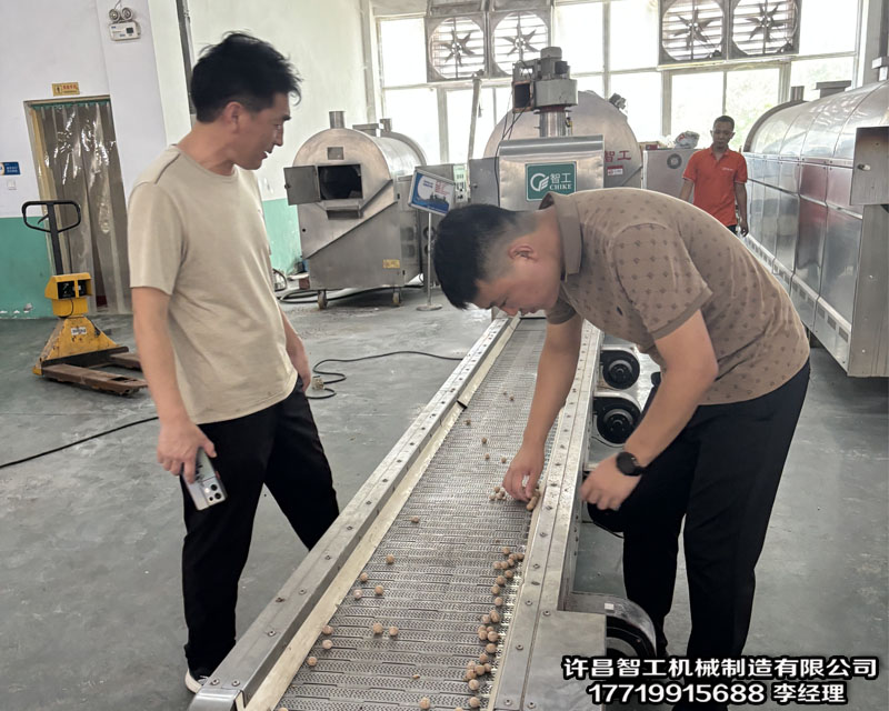 安徽客戶來(lái)廠試機(jī)四米電磁流水線炒貨機(jī)炒制阿膠珠